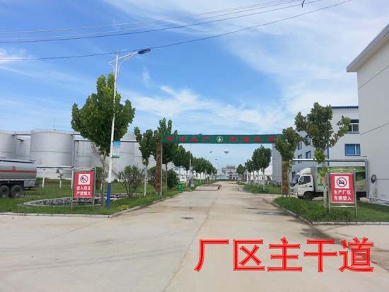 廠區主干道.jpg